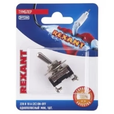 Тумблер Rexant 220V 10A (2c) 06-0330-A